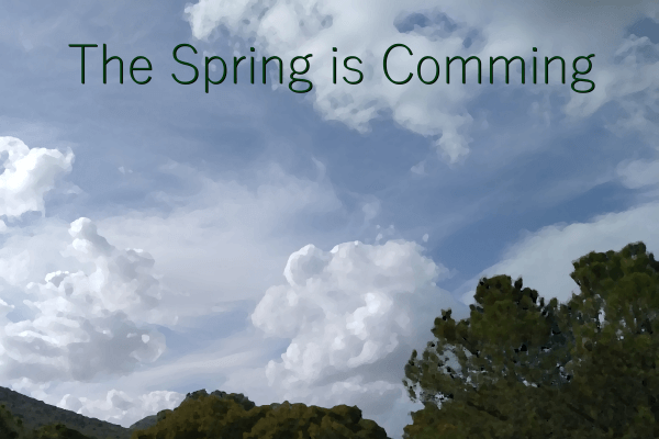 The Spring Is Comming Cover